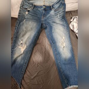 Torrid size 12 distressed boyfriend capris